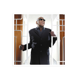 Ray Charles standing in front of a white gate